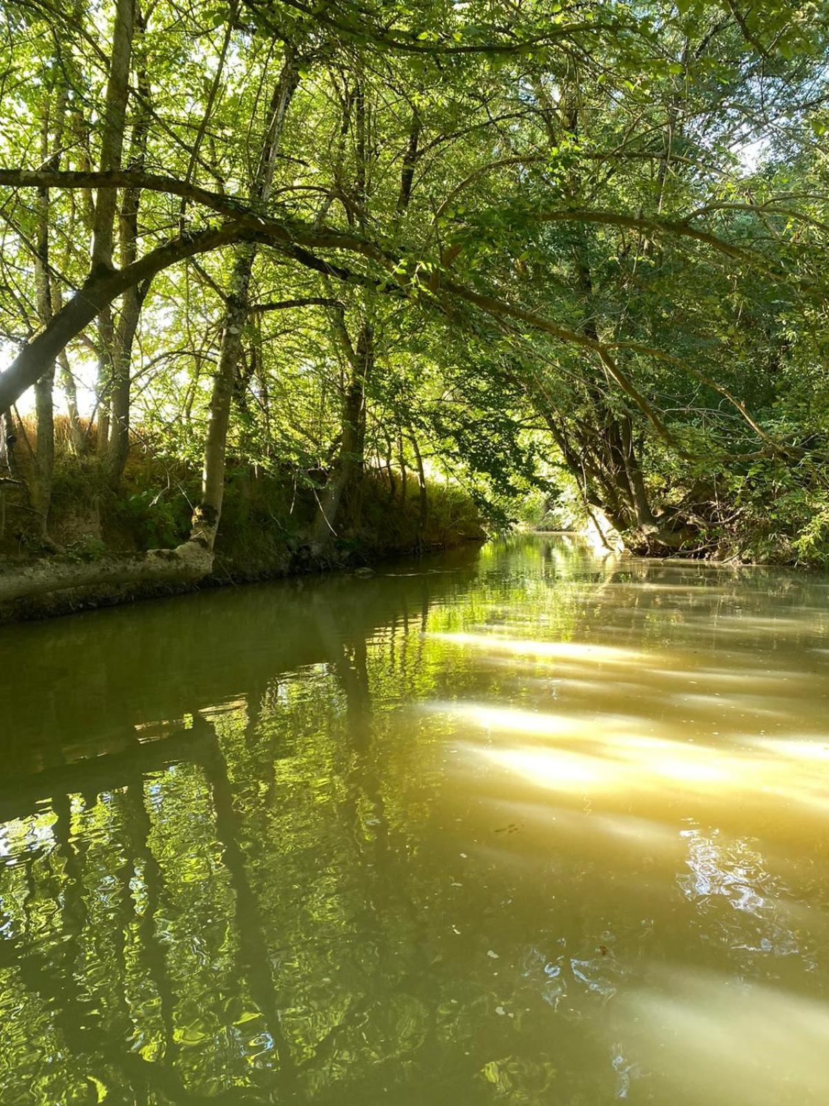 Gite Le Moulin Samsara Homps  Kültér fotó